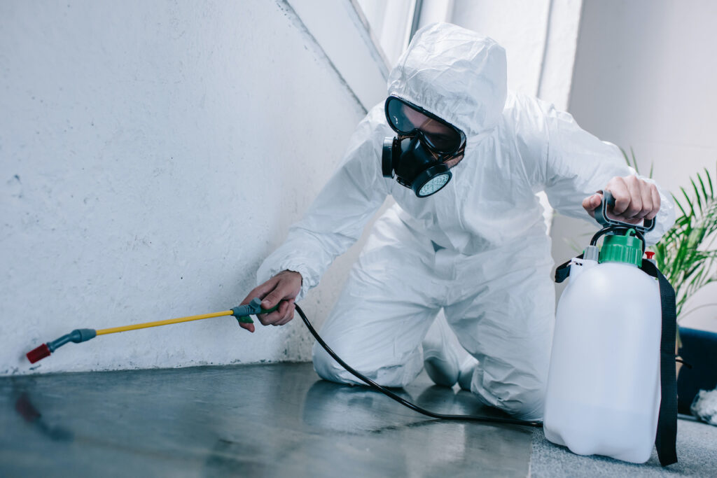 IS PREVENTATIVE PEST CONTROL NECESSARY FOR MY HOME?