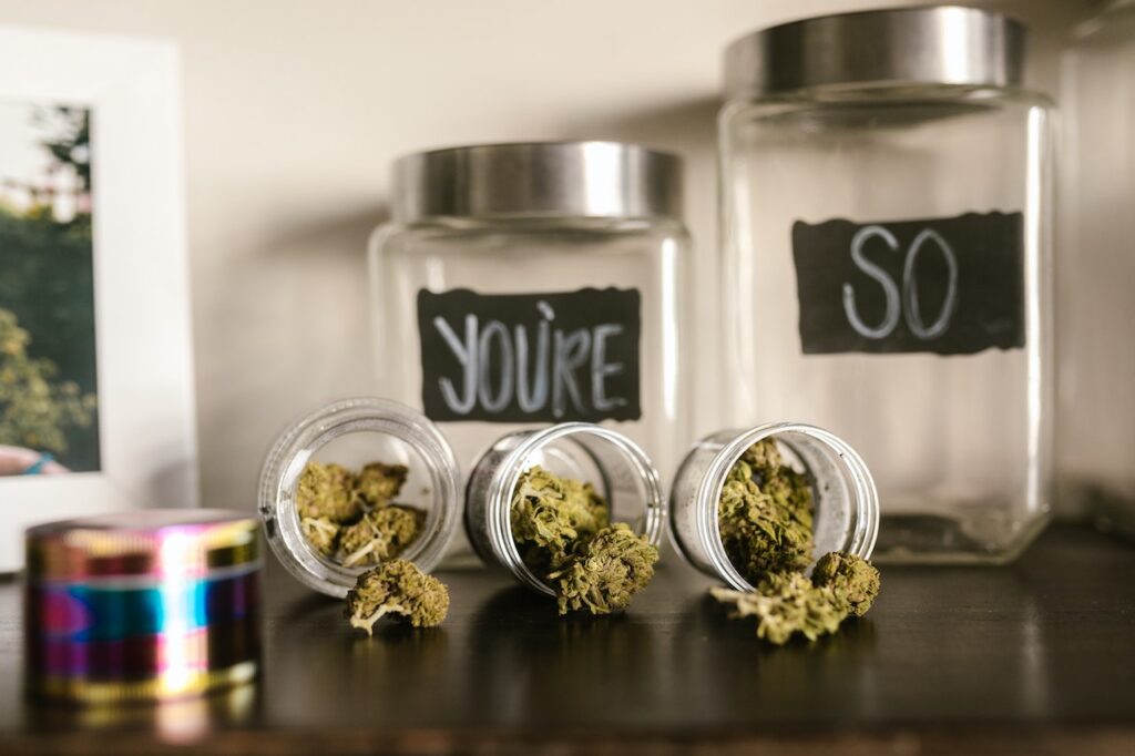 THE POPULAR CANNABIS STRAINS: A QUICK GUIDE