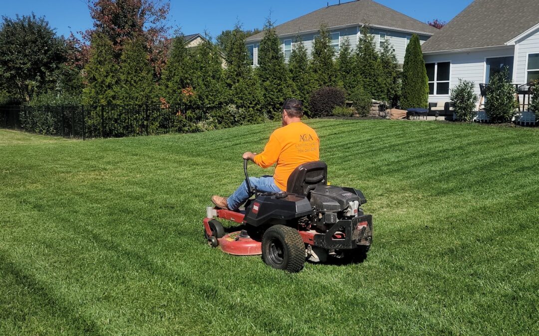 Sustainable Lawn Care Practices for Healthier Yards