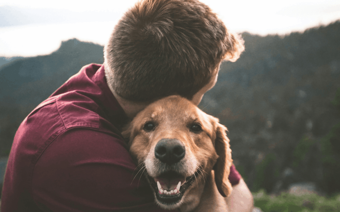 How Susan Deren’s Dog Readings Provide Comfort for Terminally Ill Pets